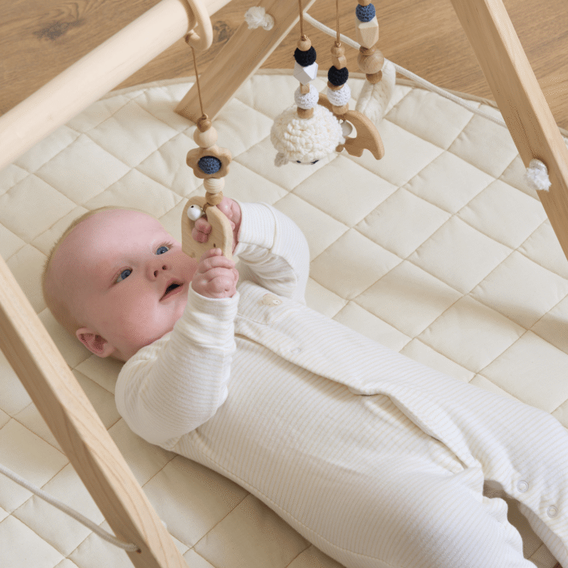 Organic Play Mat & Wooden Play Gym Set